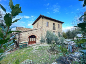 Chianti dreaming in Radda Radda / Chianti